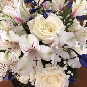 Meet your Posher, Brenda